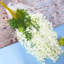 Wisteria Arrangement-1265257677