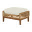 Peninsula Outdoor Ottoman with Cushion-179511001-223880322-223872155