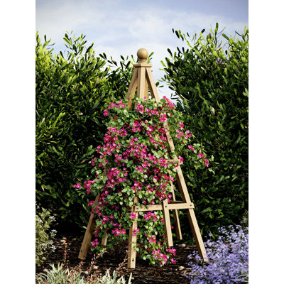 38" L X 60" H Cedar Garden Obelisk Trellis