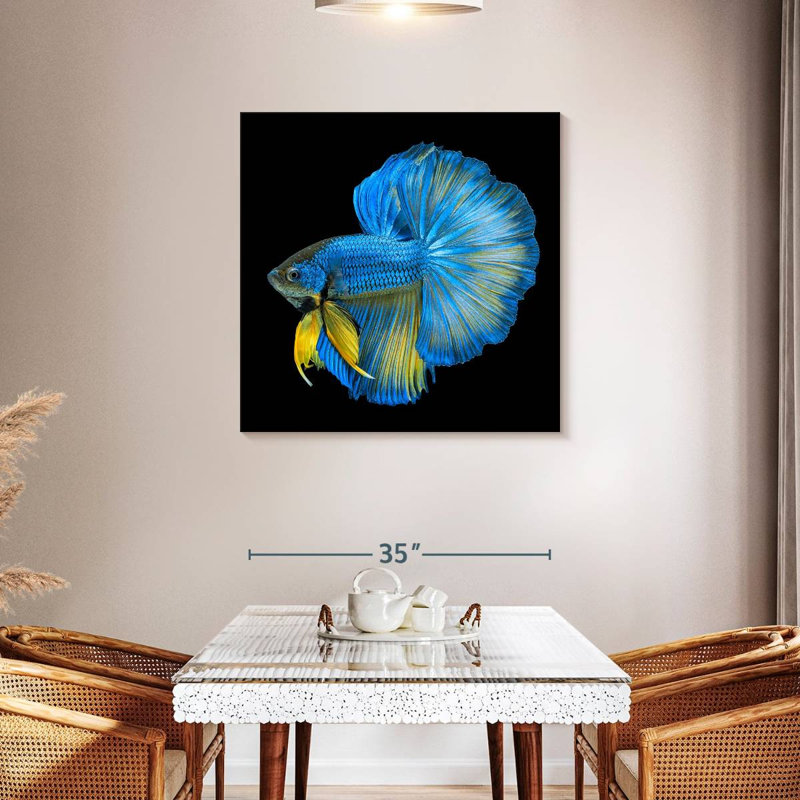 Crowle Halfmoon Betta Fish, 36" H x 36" W