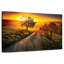 Alvord Farmland Path-106311032