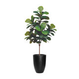 6' Fiddle Leaf Tree with Fiberstone Planter