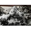 Jerzey One-of-a-Kind 6'0" X 9'2" New Age Area Rug in