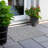 Wellsboro Area Rug-332680243
