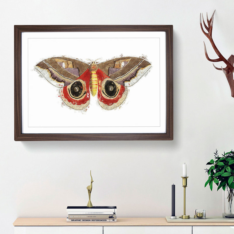 Automeris Moth by George Shaw - Single Picture Frame Painting, Walnut Framed, 45cm H x 63cm W x 2cm D