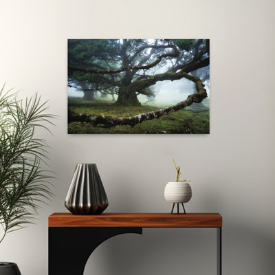 Embraced Abstract Contemporary Forest Landscape Art