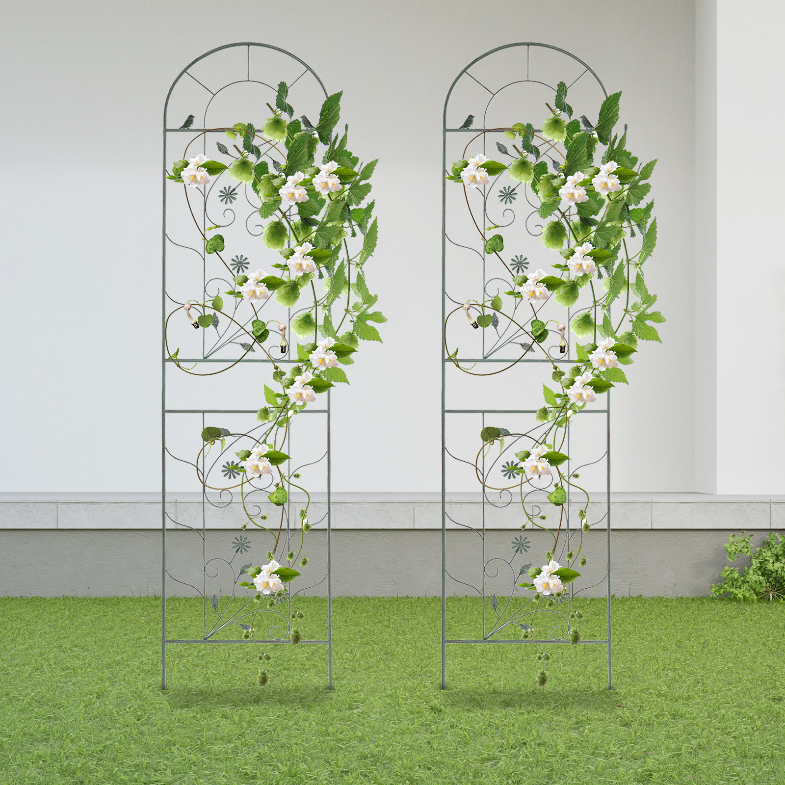 Ophelia & Co. 2Pcs Metal Climbing Plant Racks Garden Trellis | Wayfair