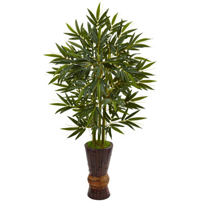 Bamboo Tree in Bamboo Planter
