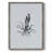 MarineLifeII Framed Print - Solid Wood