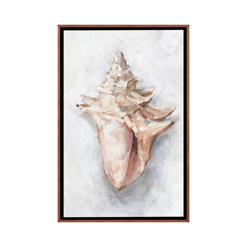 "White Shell Study I" par Ethan Harper, reproduction d’art, Pas de tapis, H 26 po x l 18 po x P 1,5 po