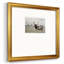 Grand Elk - impression d'un seul cadre photo-87964587