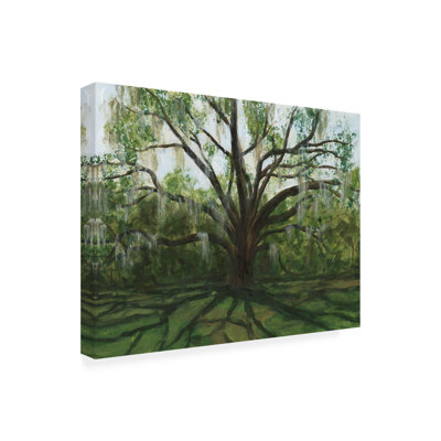 Millwood Pines Michael Willett Live Oak I Canvas Wall Art