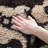 Chanhassen Shag Performance Floral Rug-645074989