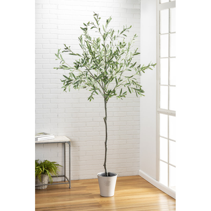 7 Ft High Olive Tree with Plastic Pot, 84" H x 24" W x 24" D