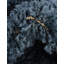 Tapis Metson-1816901330