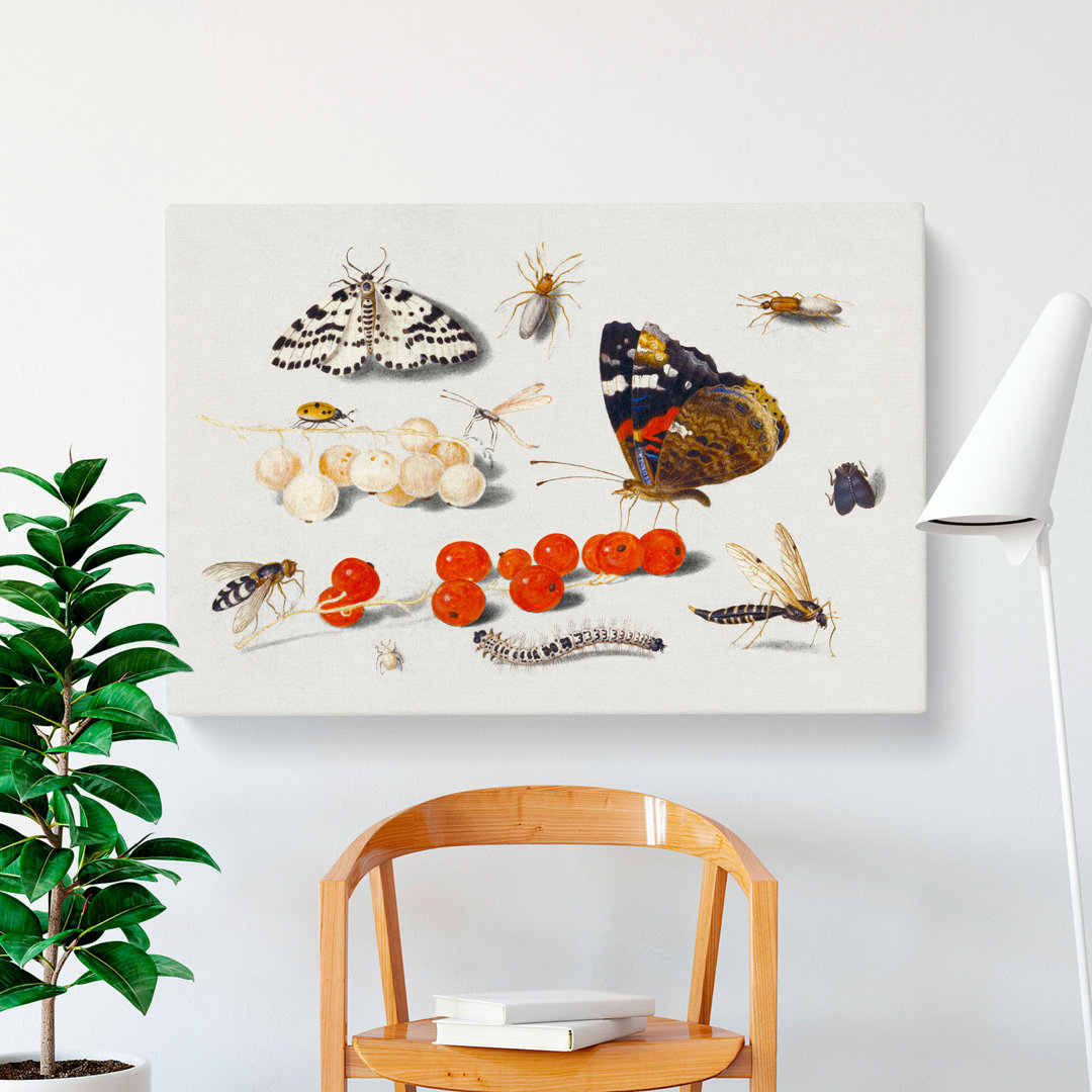 Butterfly Caterpillar And Moth by Jan Van Kessel - Wrapped Canvas Painting