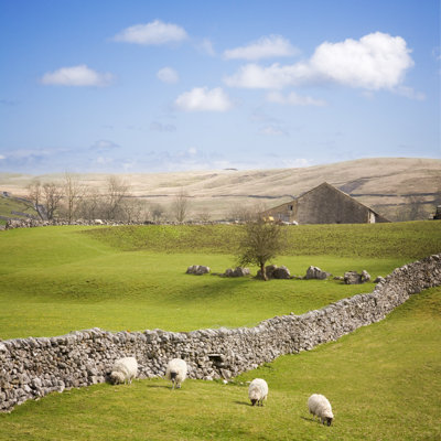 Dry Stone Wall - Wrapped Canvas Print