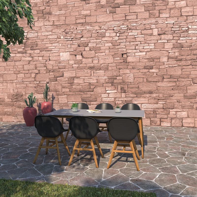 Anautica 6 - Person Patio Dining Set with Rectangular Table
