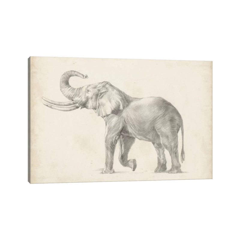 Elephant Sketch I by Ethan Harper - Wrapped Canvas Gallery-Wrapped Canvas Giclée, 20.32 cm H x 30.48 cm W