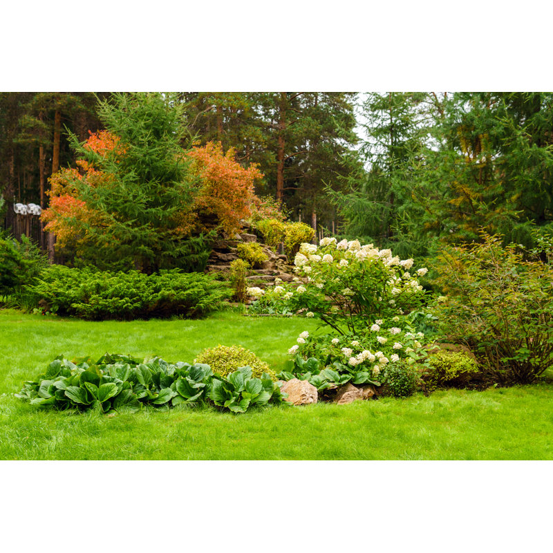 Paysage avec pelouse de plantes et de roches artificielles - photographie sur toile tendue, H 8 po x l 12 po