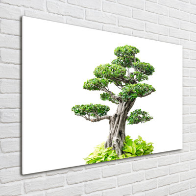 Bonsai Tree - Unframed Art Prints on Glass