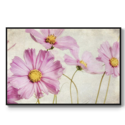 Pink Cosmos I, reproduction d'art sur toile