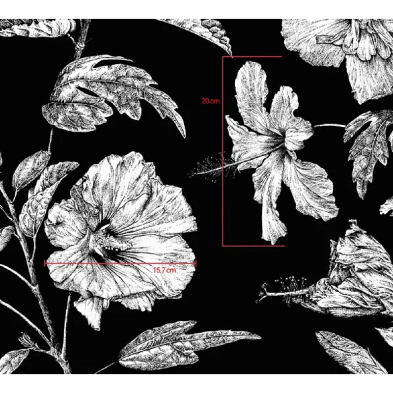 Hibiscus Haiti Flower Wallpaper, Ebony