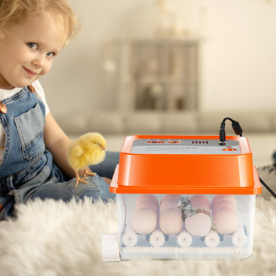 Egg Incubator, Incubators For Hatching Eggs, Automatic Egg Turner With With Temperature And Humidity Control, 12 Eggs Poultry Hatcher With ABS Transparent Shell For Chicken, Duck, Quail