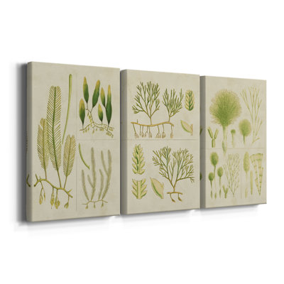 Herbe de mer rétro I - Toile tendue avec châssis sur mesure - 3 pièces