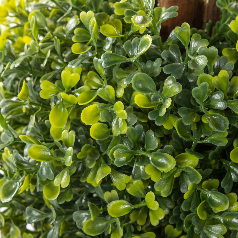 2PC Artificial Plants Indoor