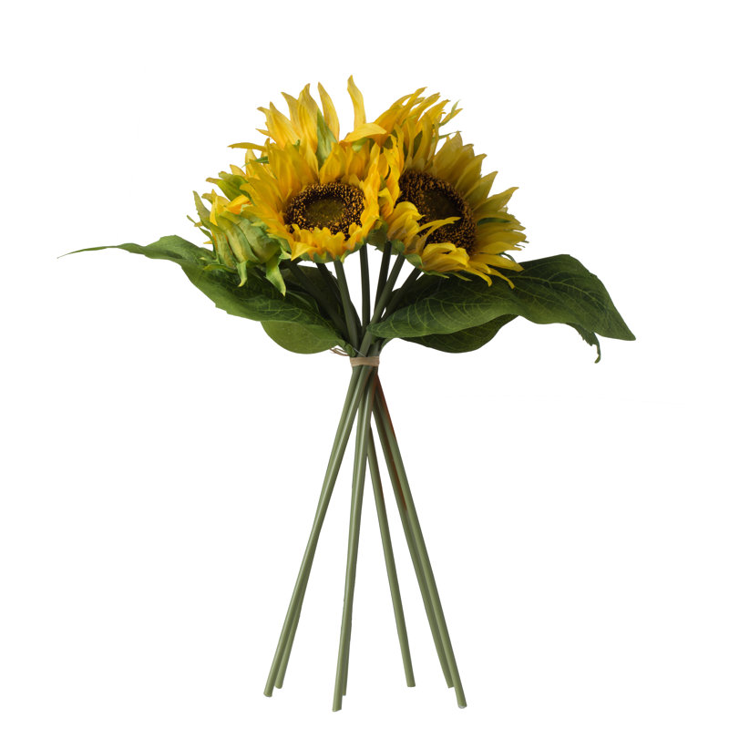 Centres de tournesol en paquet
