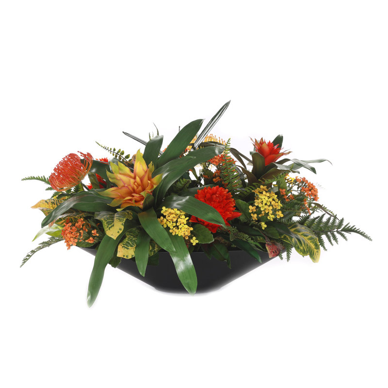 Bromeliad Arrangement in Pot
