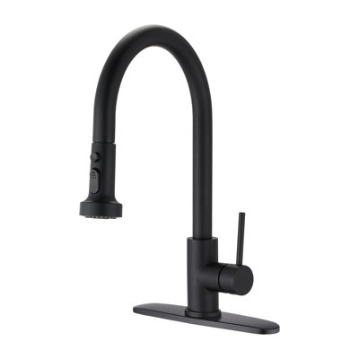 Stainless Steel Pull Down Kitchen Faucet With Sprayer Matte Black