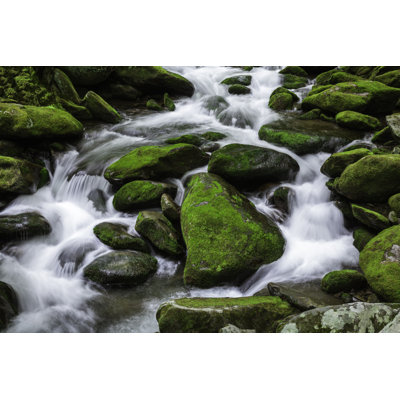 Water Stream In Forest by Dszc - Wrapped Canvas Print