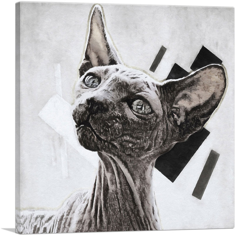 «Sphynx Cat Breed White», impression sur toile tendue, H 18 po x l 18 po x P 0,75 po