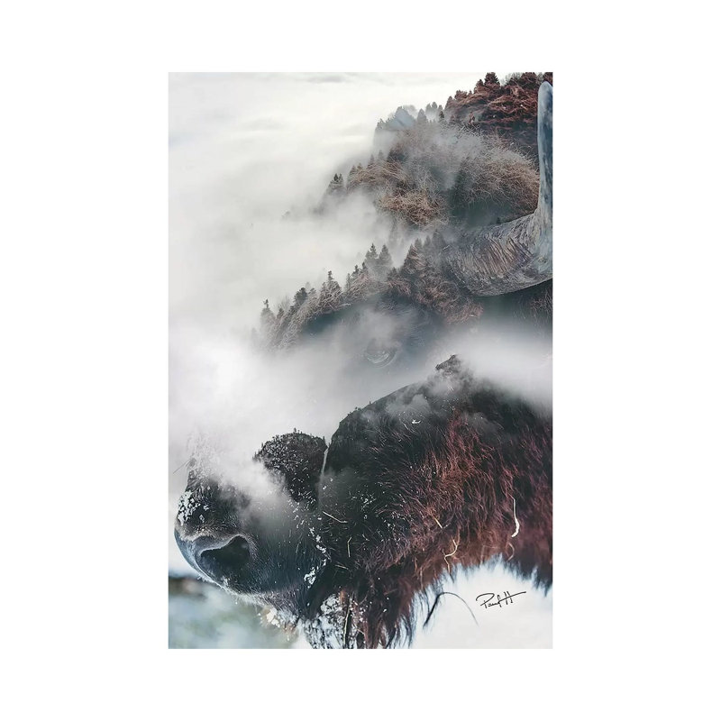 Bison by Paul Haag - Wrapped Canvas Print, 45.72cm H x 30.48cm W x 1.91cm D