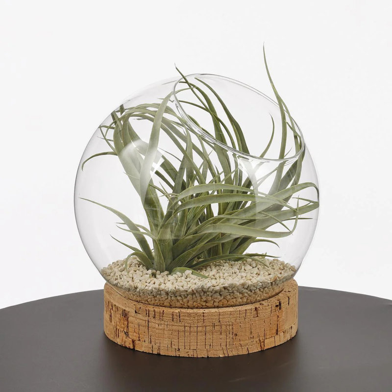 Cedernier Glass Table Vase 1, 21cm H x 20cm W x 20cm D