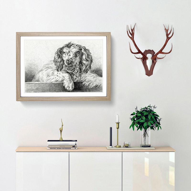 Springer Spaniel Dog by Jean Bernard - Picture Frame Drawing Print, Oak Framed, 48cm H x 65cm W x 2cm D