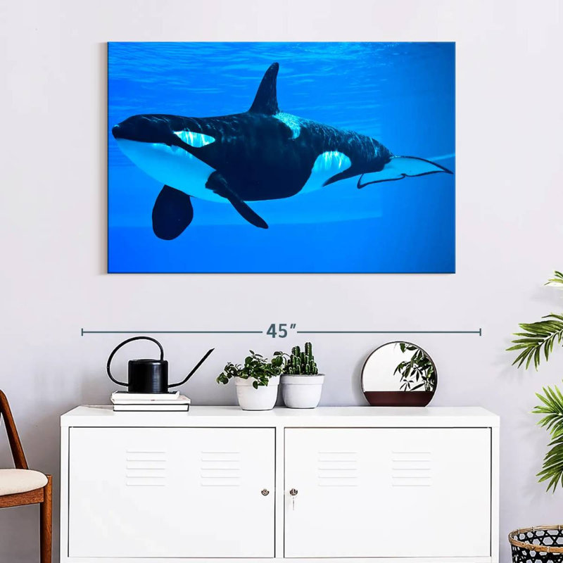 Brampt Friendly Killer Whale, 26" H x 39" W