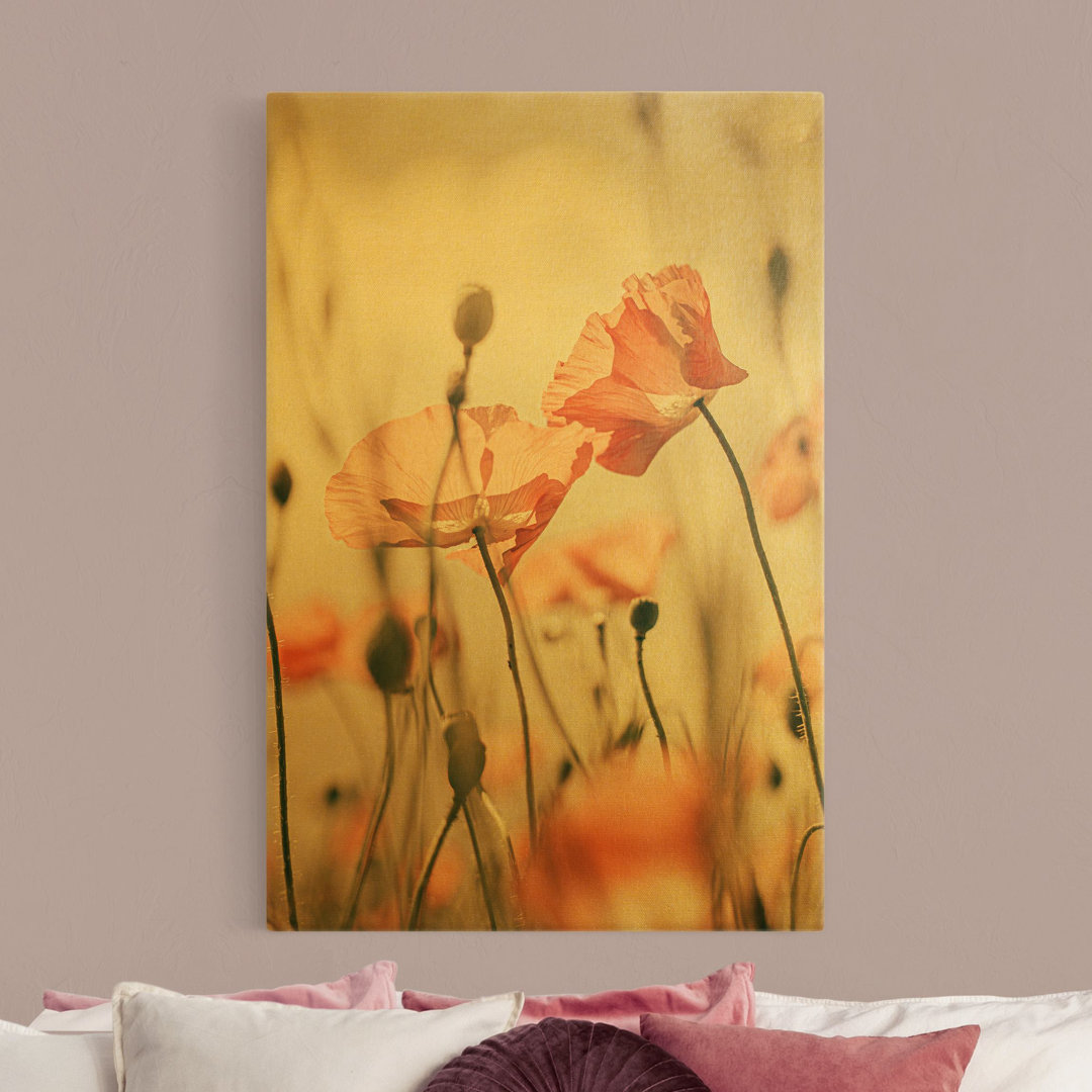 Leinwandbild Poppies in the Summer Wind von Monika Strigel