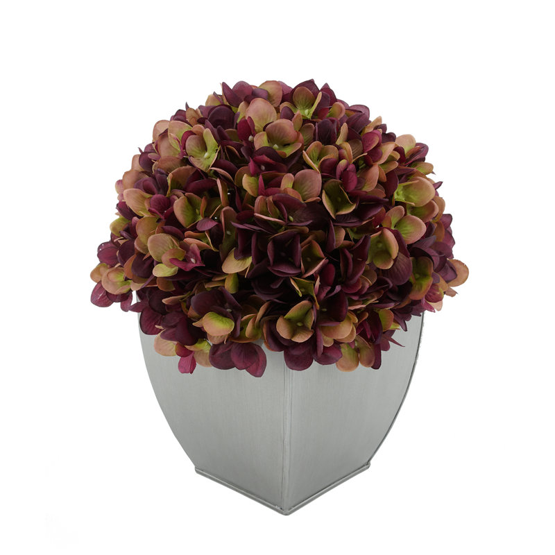 Arrangement d'hortensias en prune, Prune, Noir