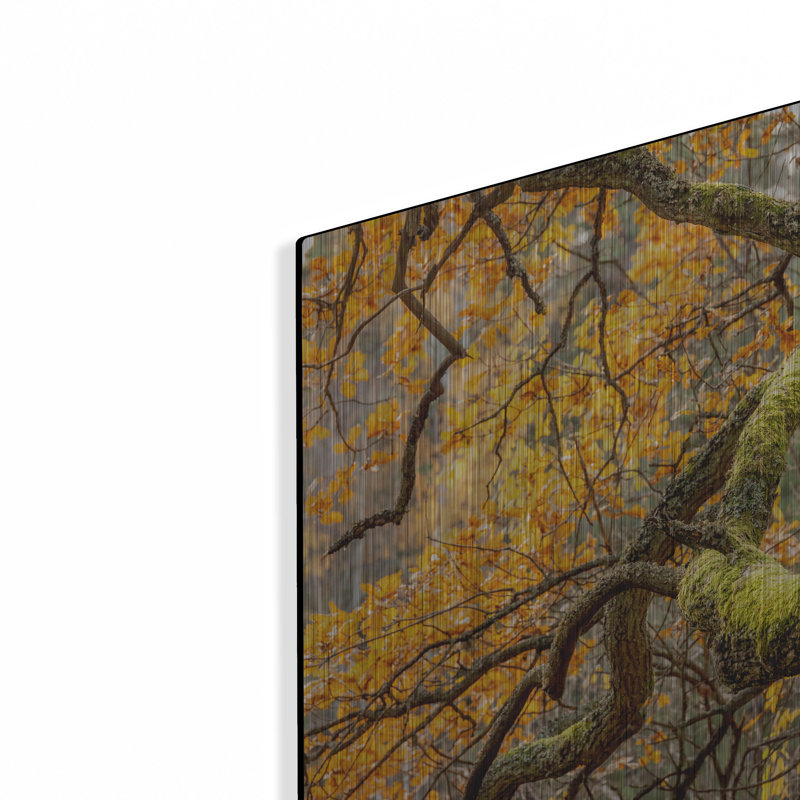 " Reaching Autumn Branch " by Nicklas Gustafsson