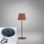 Adaidh Metal USB Battery -operated Table Lamp Lamp-553968057