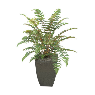 Faux Plant in Planter