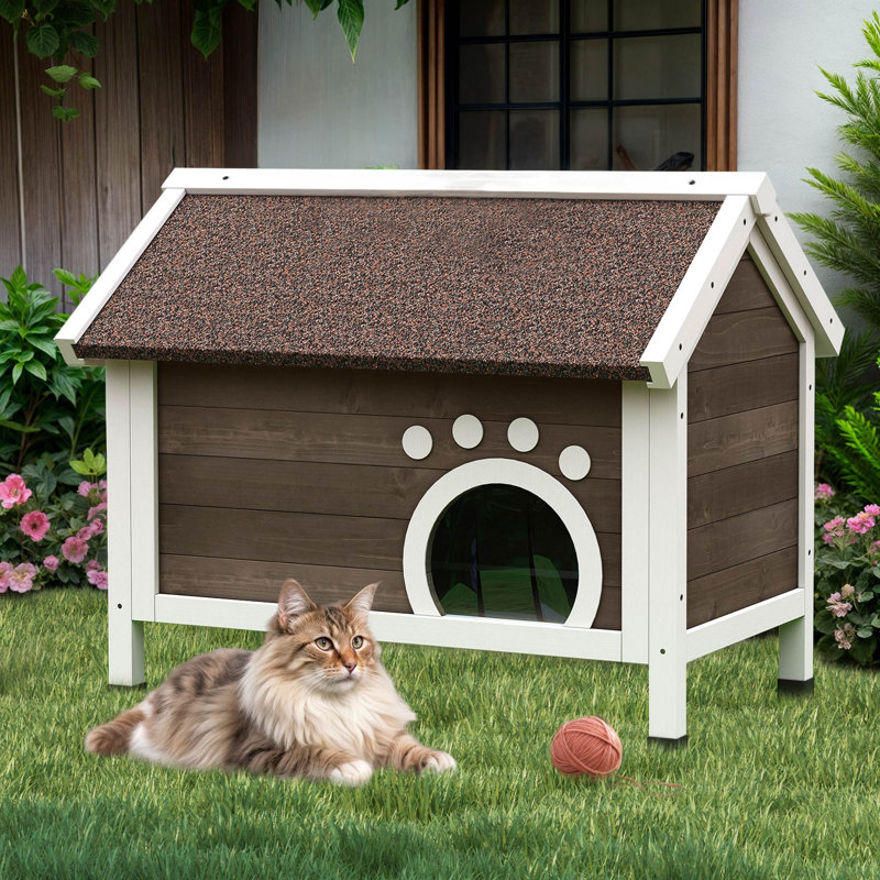 Maison pour chat Filimon