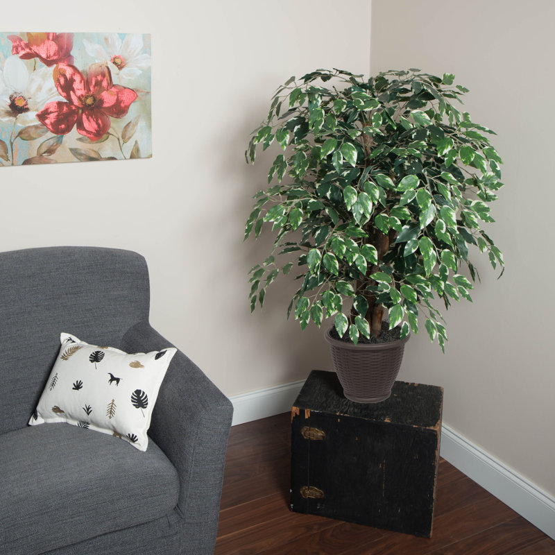 36'' Artificial Ficus Tree in Basket, Brown