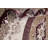 Oriental Indoor Rug