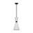 Belcarra 1-Light Small Pendant-88980020