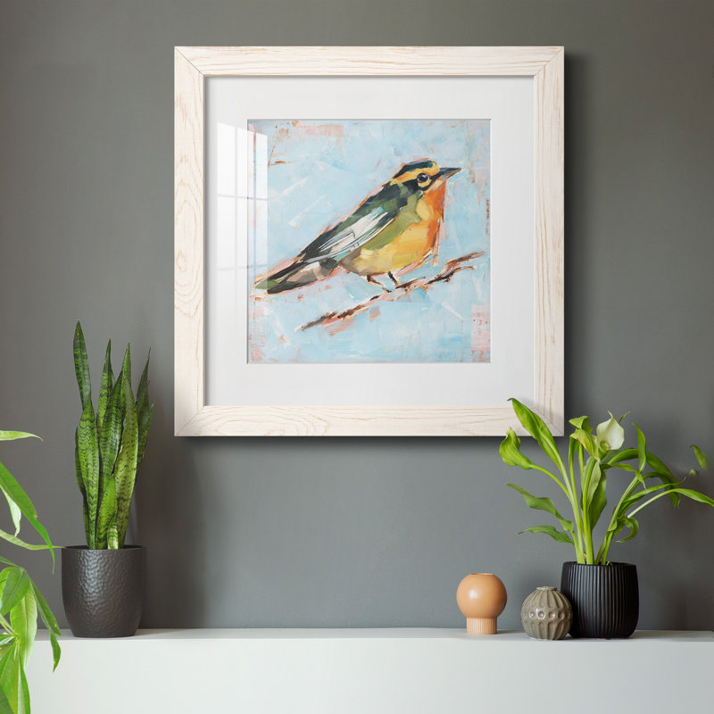 «Bird Variety IV», ensemble de 1 reproductions carrées sur toile, H 35,5 po x l 35,5 po x P 1,5 po, Cadre blanc