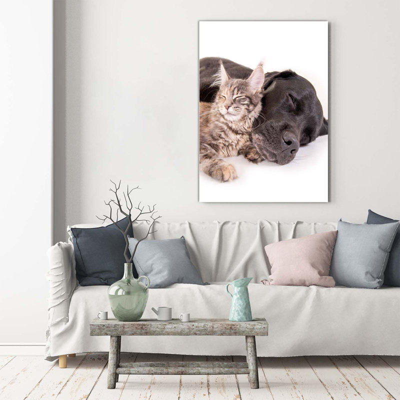 Dog And Cat - Wrapped Canvas Print